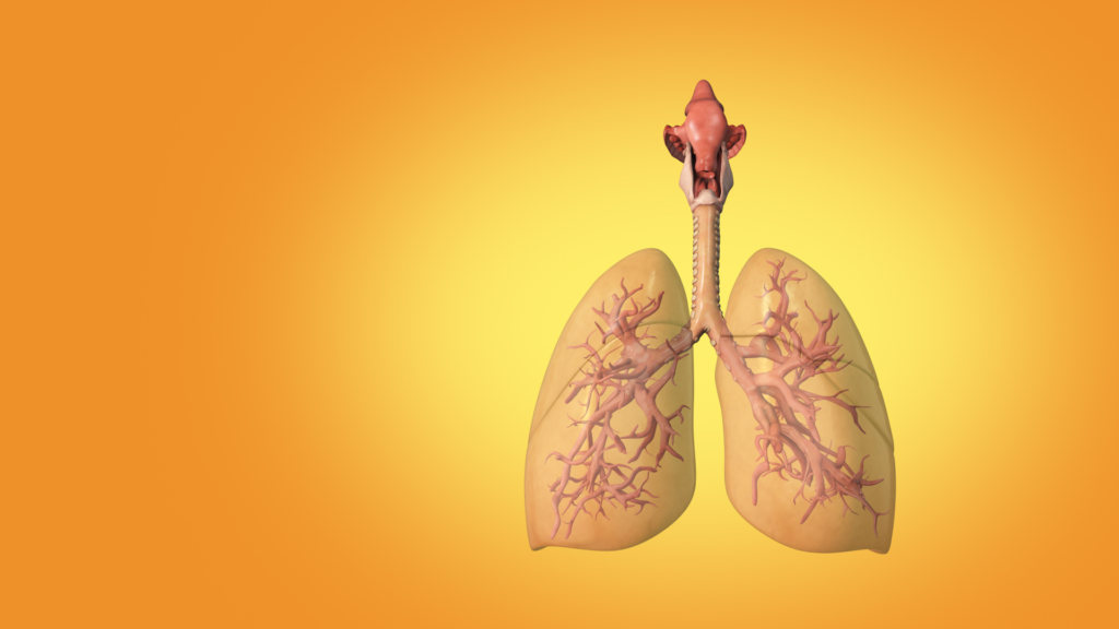 Jak Zwiększyć Pojemność Płuc - Twoje Źródło Wiedzy