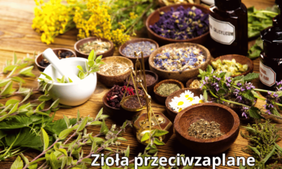 zioła przeciwzapalne